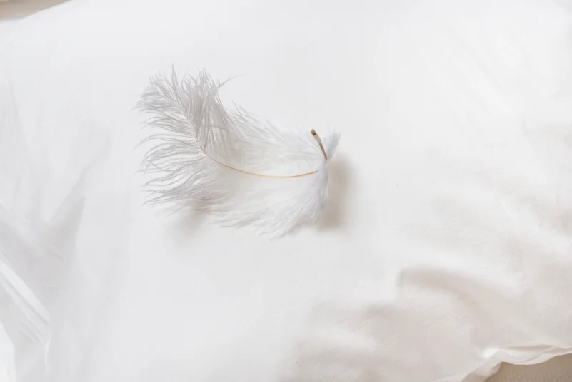 feather pillow